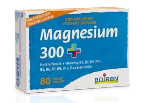 Magnesium 300+ tbl.80